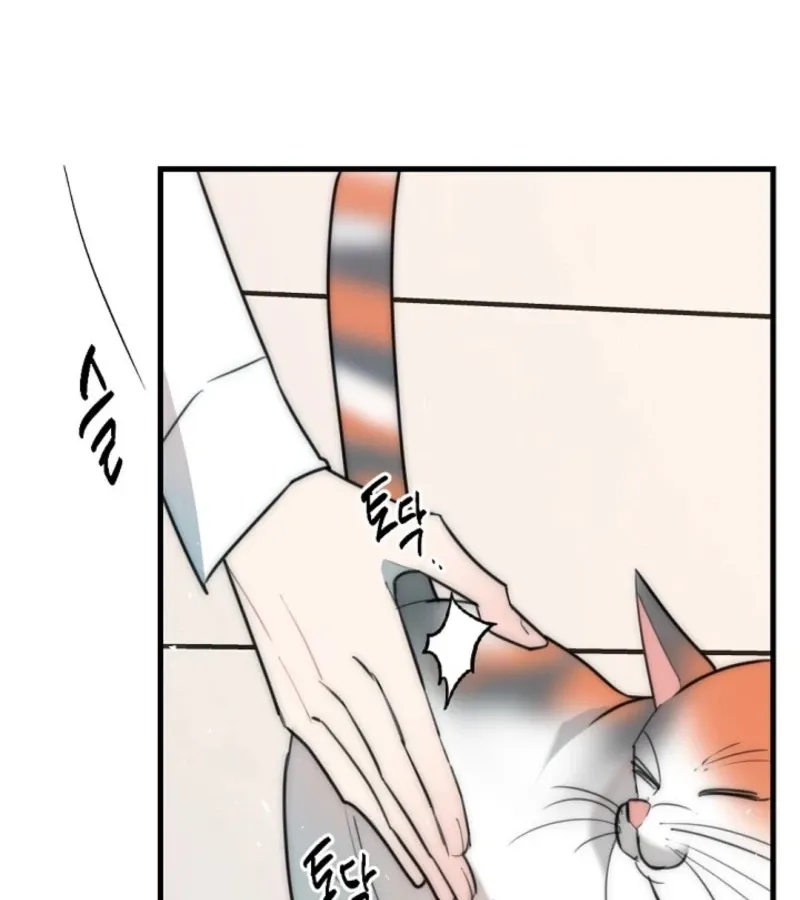 No escape, Sir. Chapter 8 page 85 - 