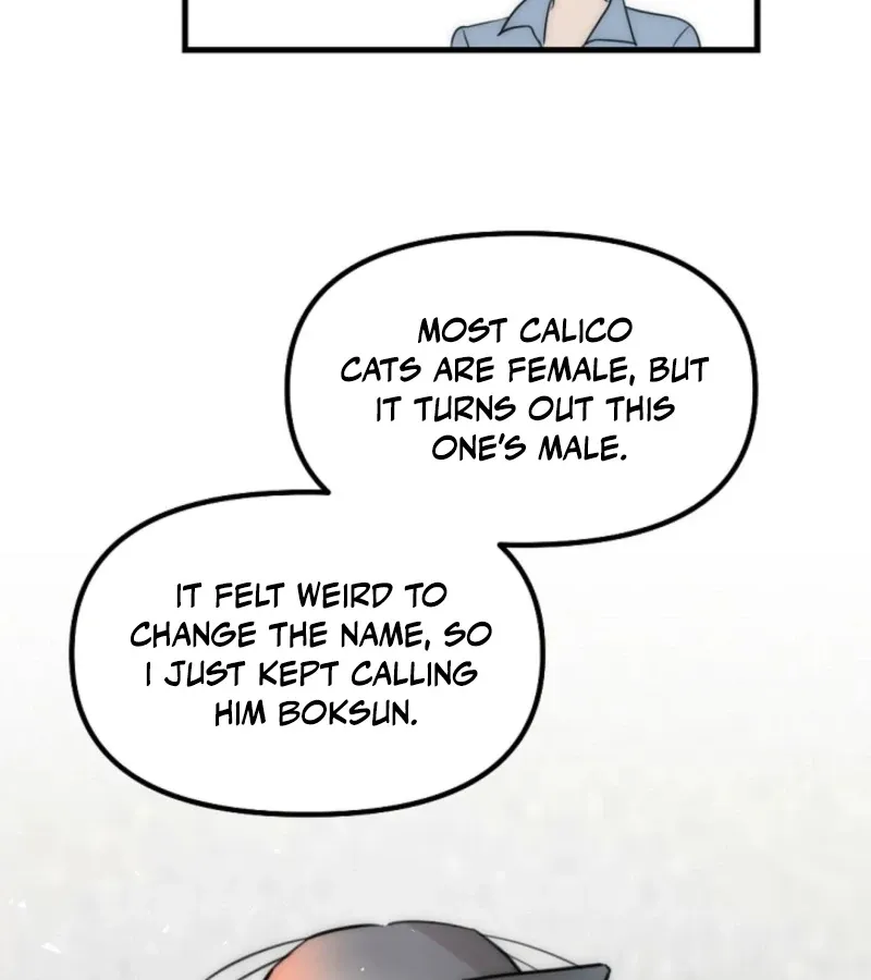 No escape, Sir. Chapter 8 page 89 - 