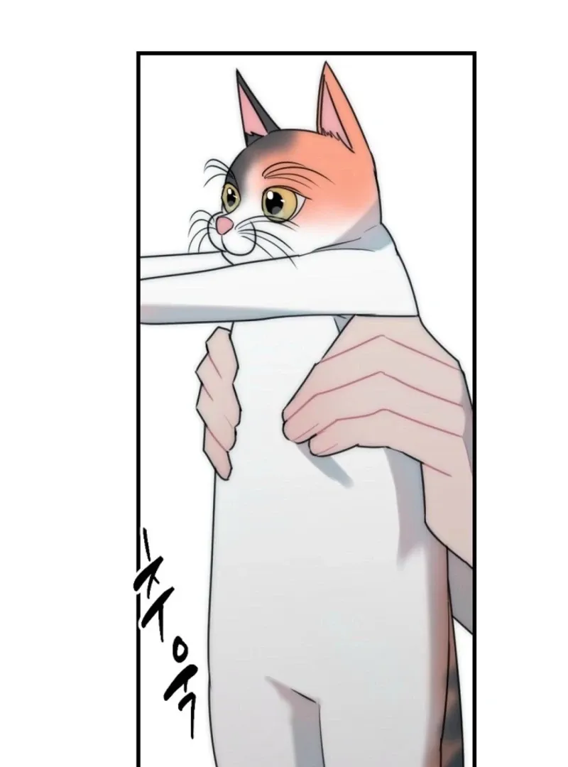 No escape, Sir. Chapter 9 page 22 - 