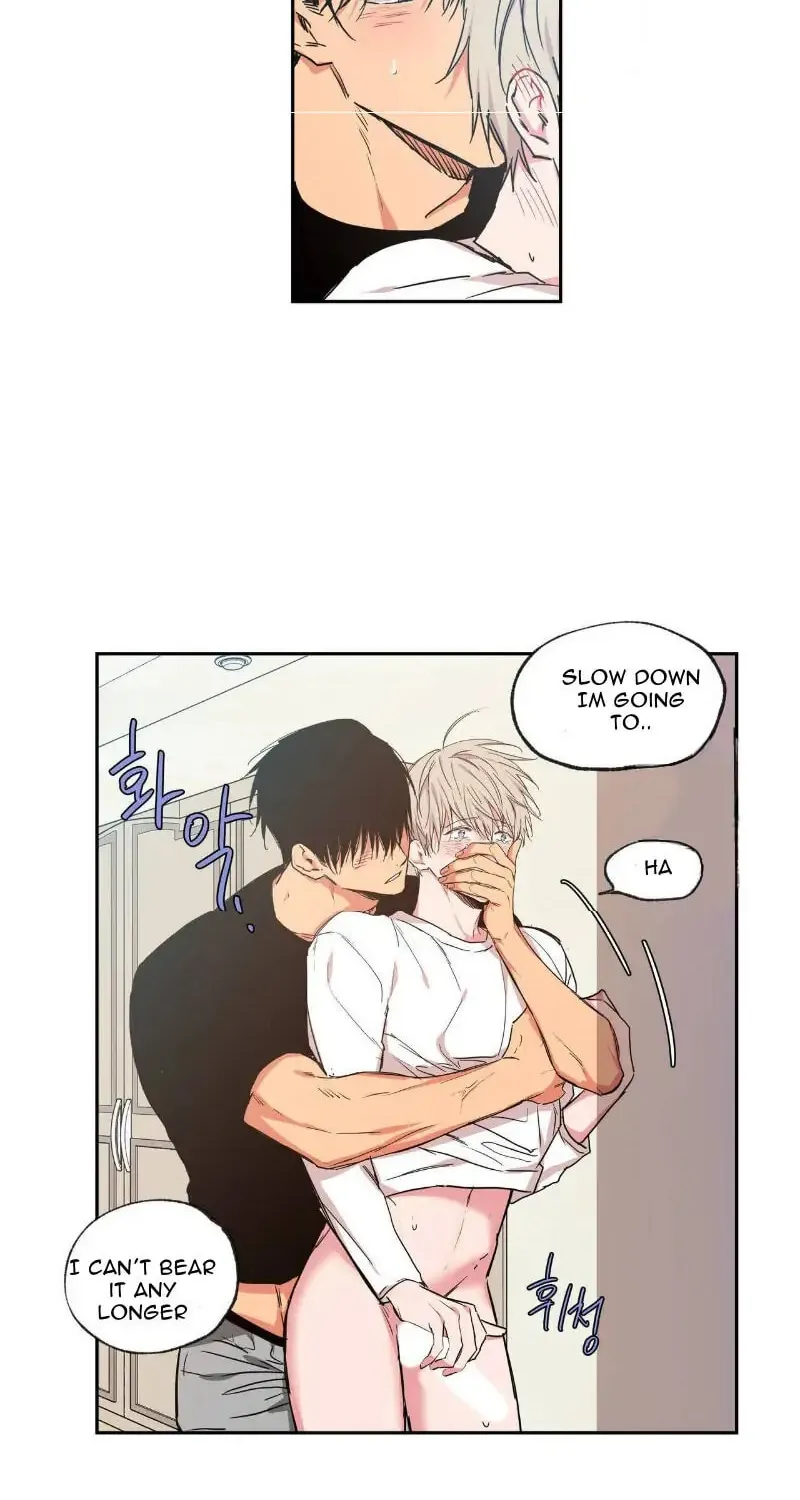 No Love Zone Chapter 35 page 5 - 