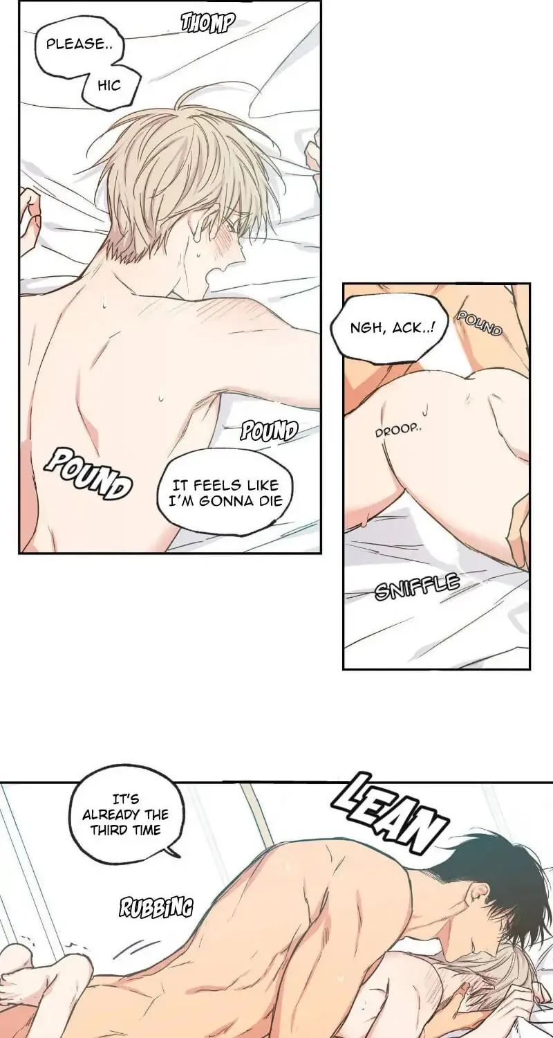 No Love Zone Chapter 36 page 11 - 