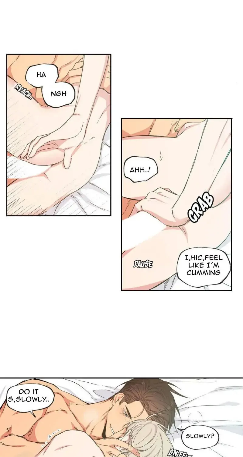 No Love Zone Chapter 36 page 19 - 