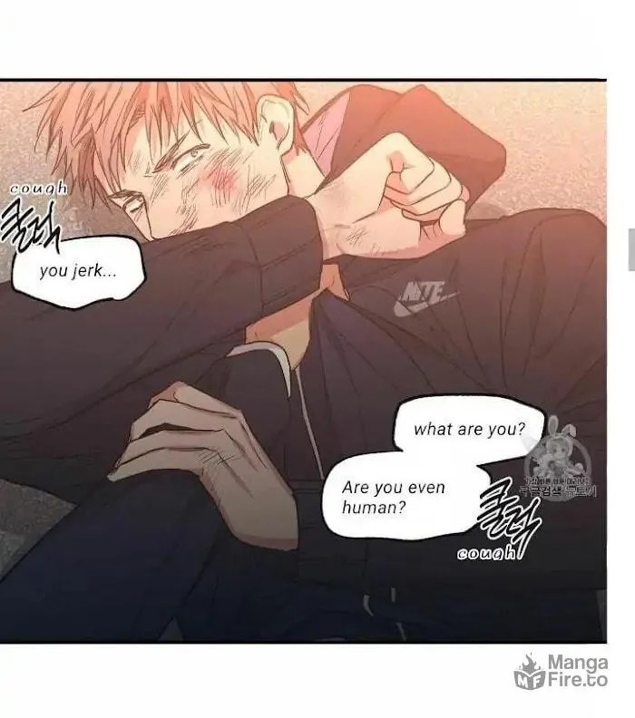 No Love Zone Chapter 56 page 12 - 