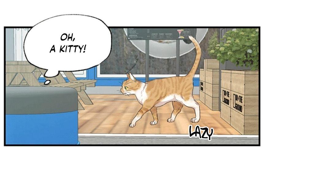 No Love Zone Chapter 70.6 page 24 - 