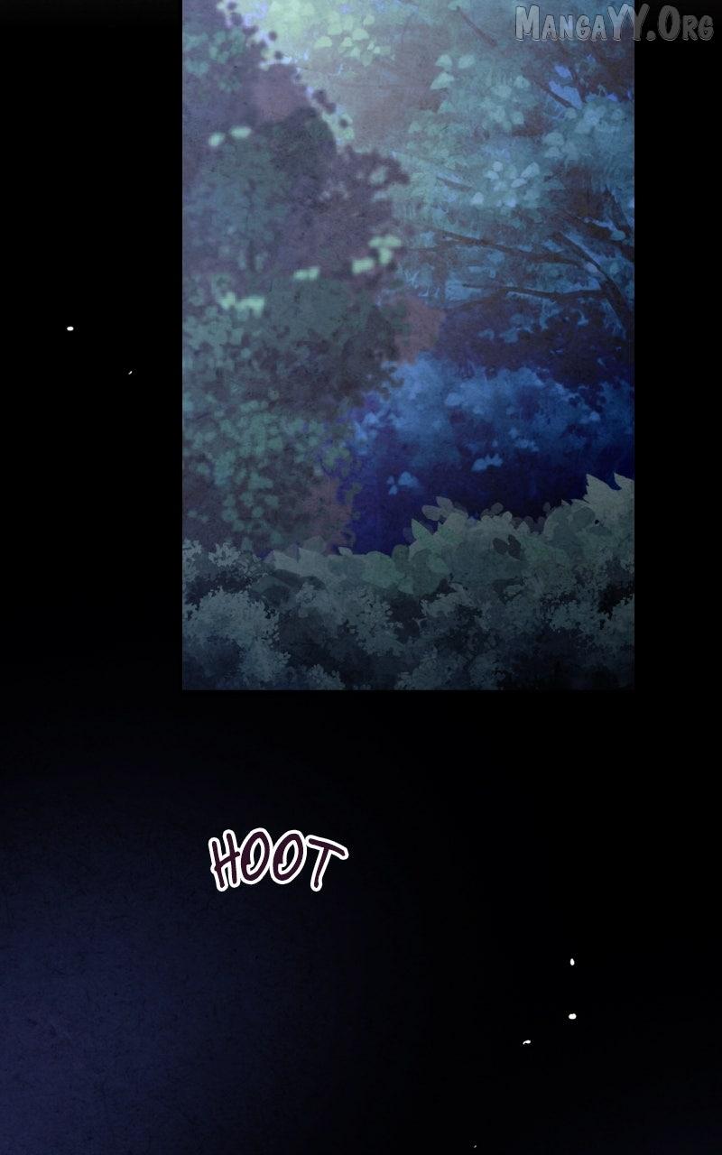 No Marriage Chapter 48 page 81 - 