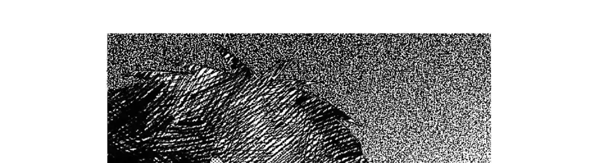 No More Eurydice Chapter 160.5 page 108 - 