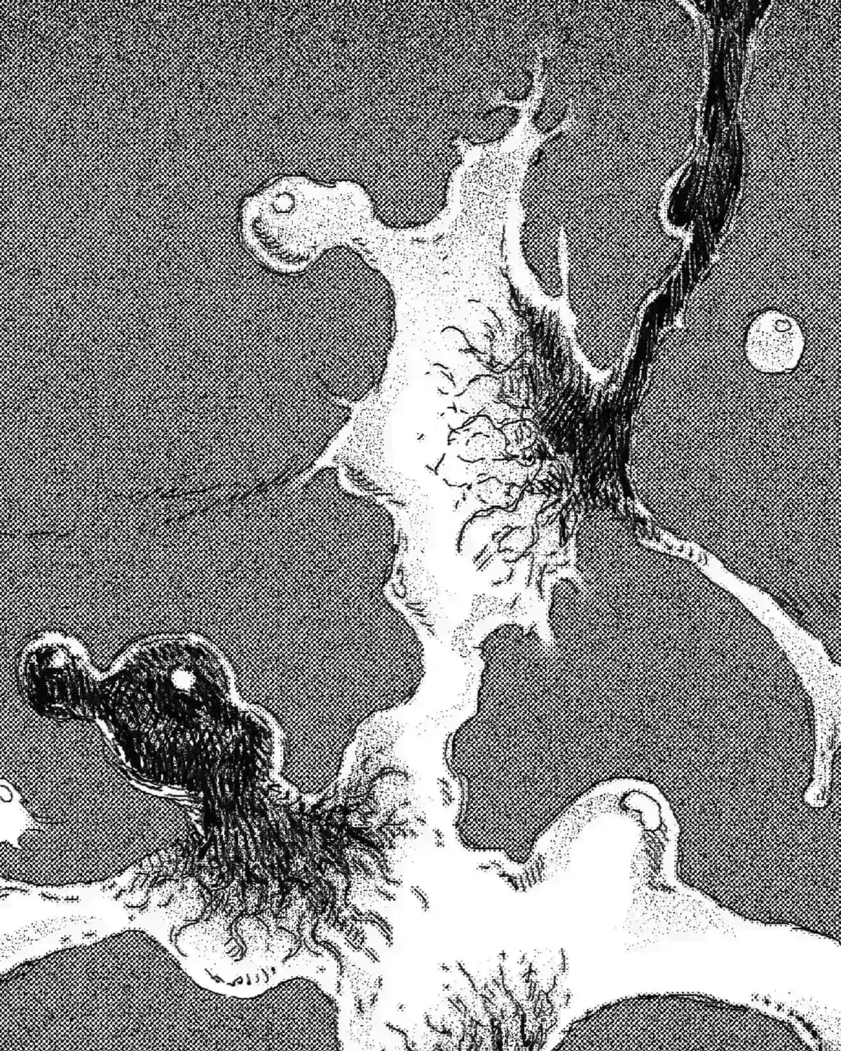 No More Eurydice Chapter 161.5 page 73 - 