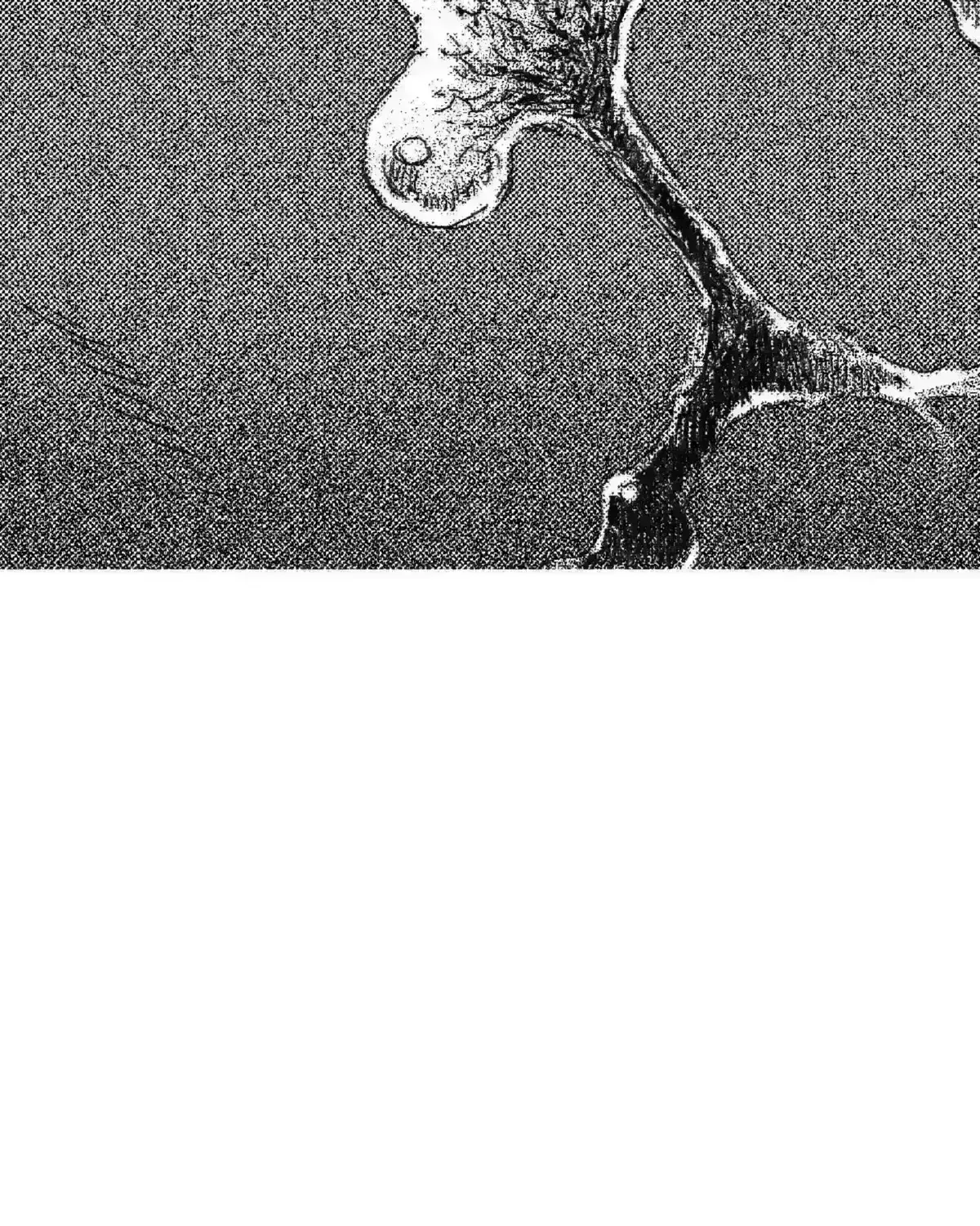No More Eurydice Chapter 161.5 page 74 - 