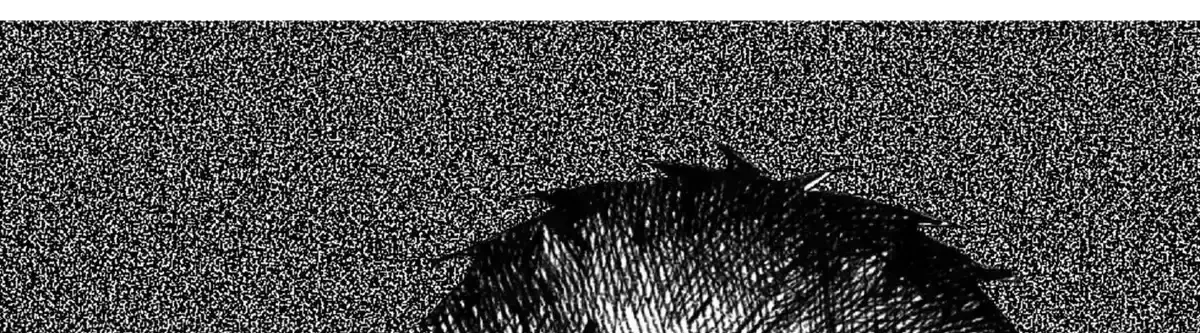 No More Eurydice Chapter 163.1 page 33 - 