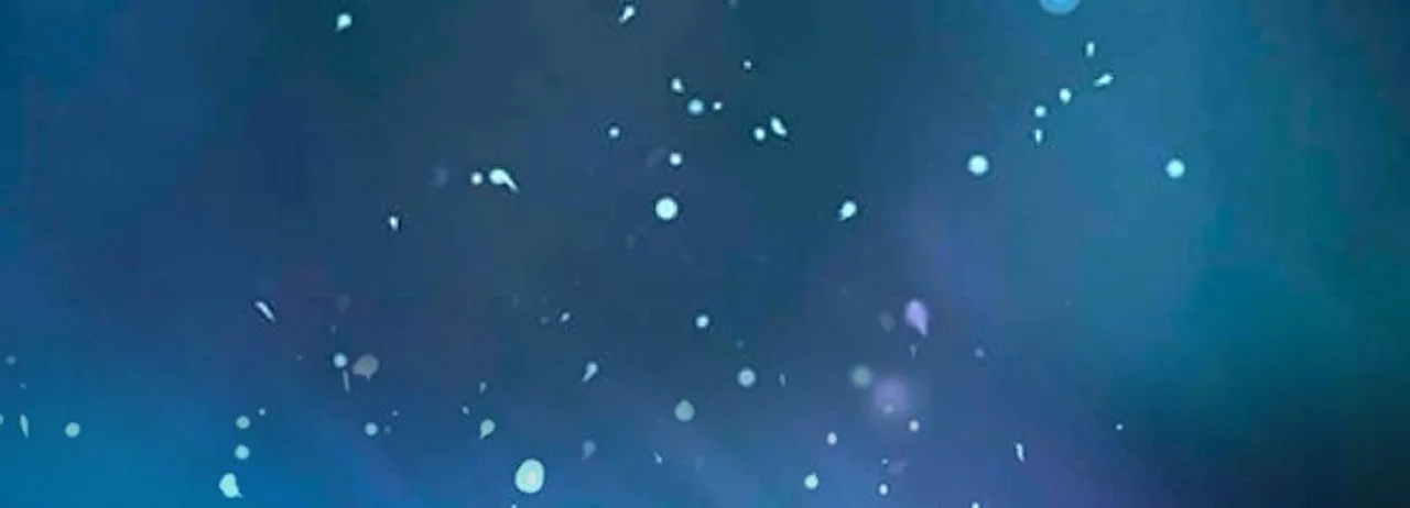 No More Regrets Chapter 20 page 270 - 