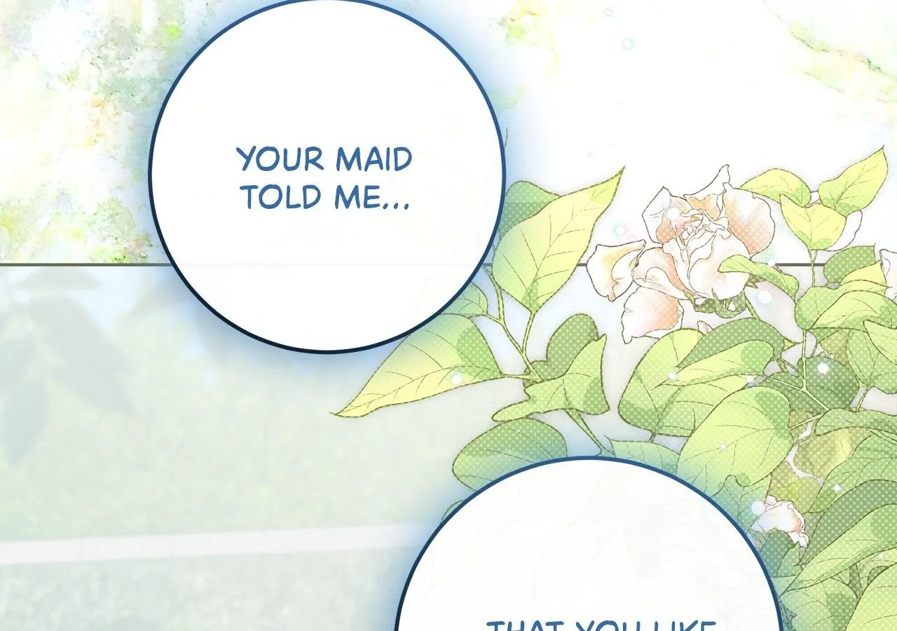 No More Regrets Chapter 22 page 195 - 