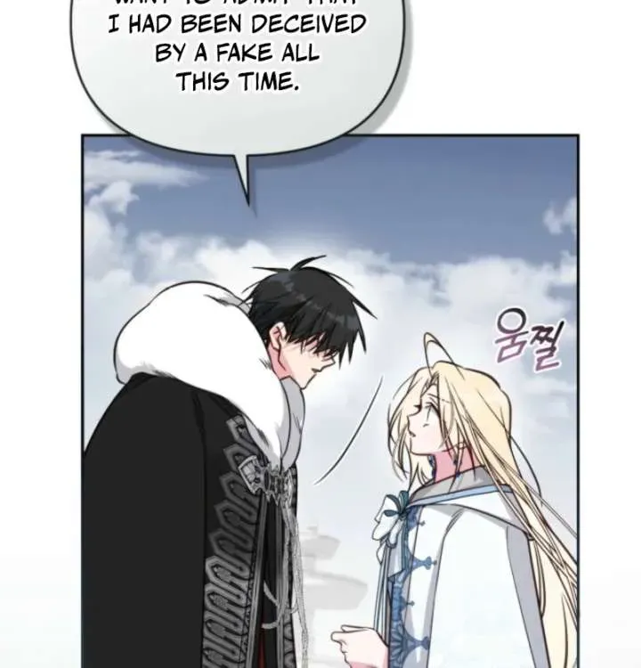 No Place for the Fake Princess Chapter 109.1 page 20 - 