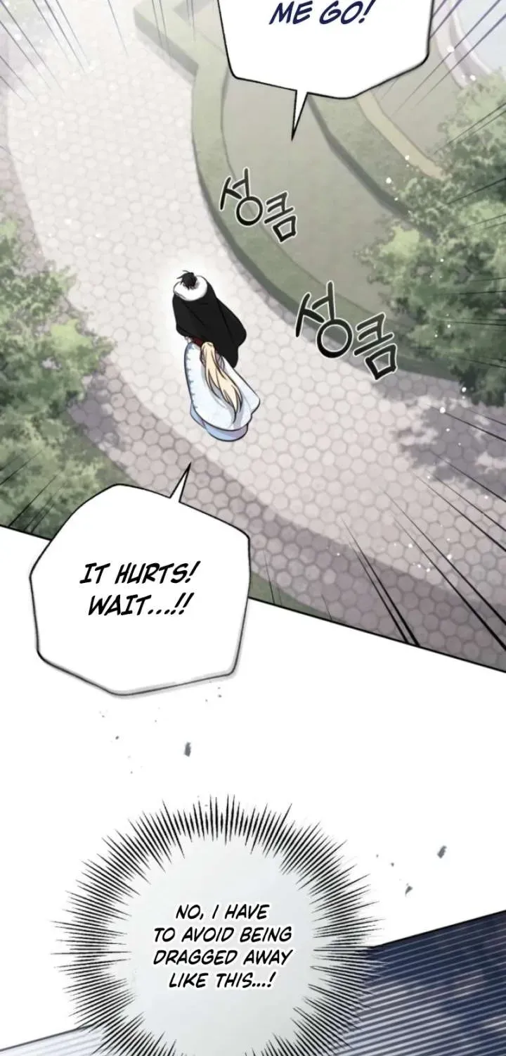 No Place for the Fake Princess Chapter 109.1 page 24 - 