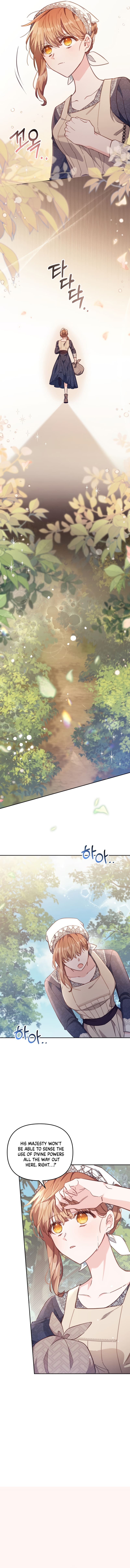 No Place for the Fake Princess Chapter 19 page 13 - 