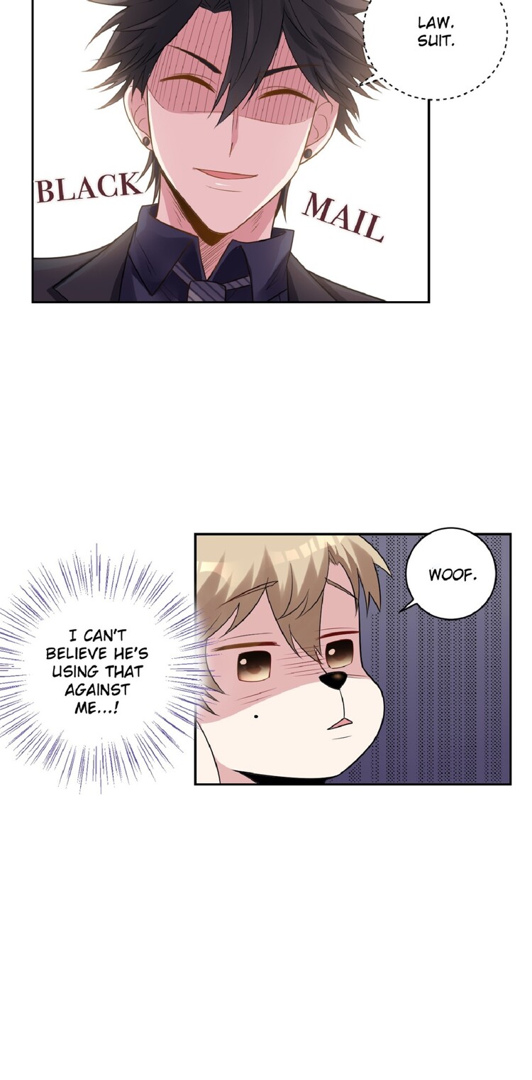 No Rejection Allowed Chapter 5 page 12 - 