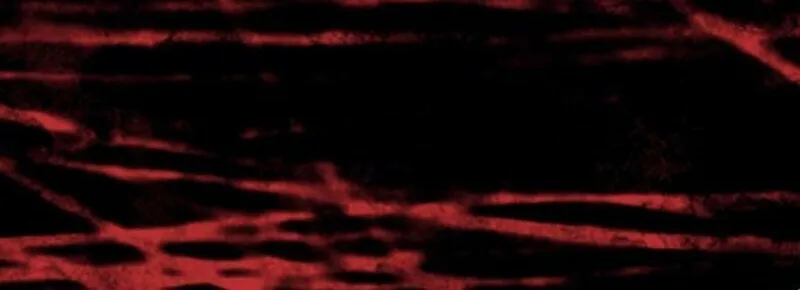 Noble in Name, Vulgar at Heart Chapter 18 page 69 - 