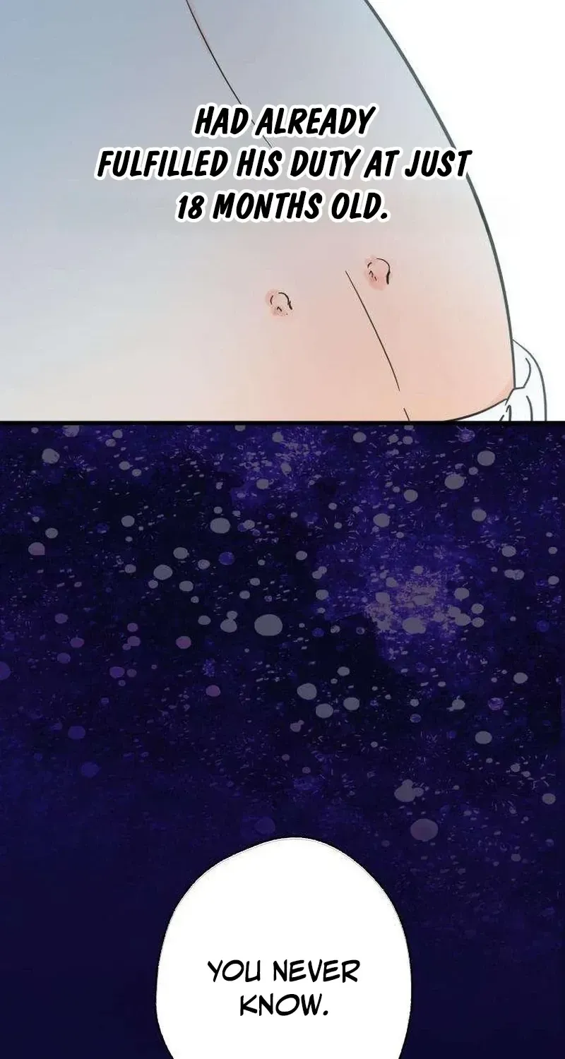 Nobody Chapter 28 page 53 - 