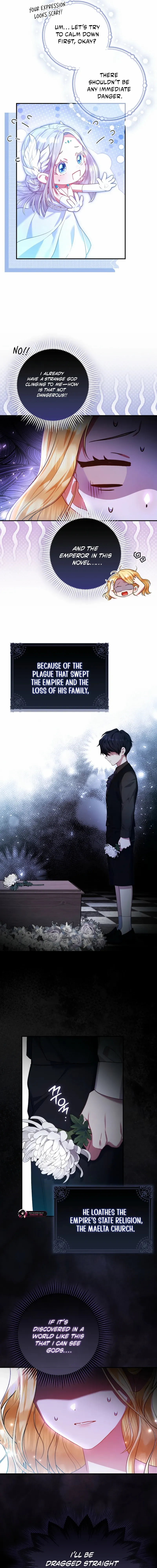 Not A Saint, But A Celestial Maiden Chapter 2 page 9 - 