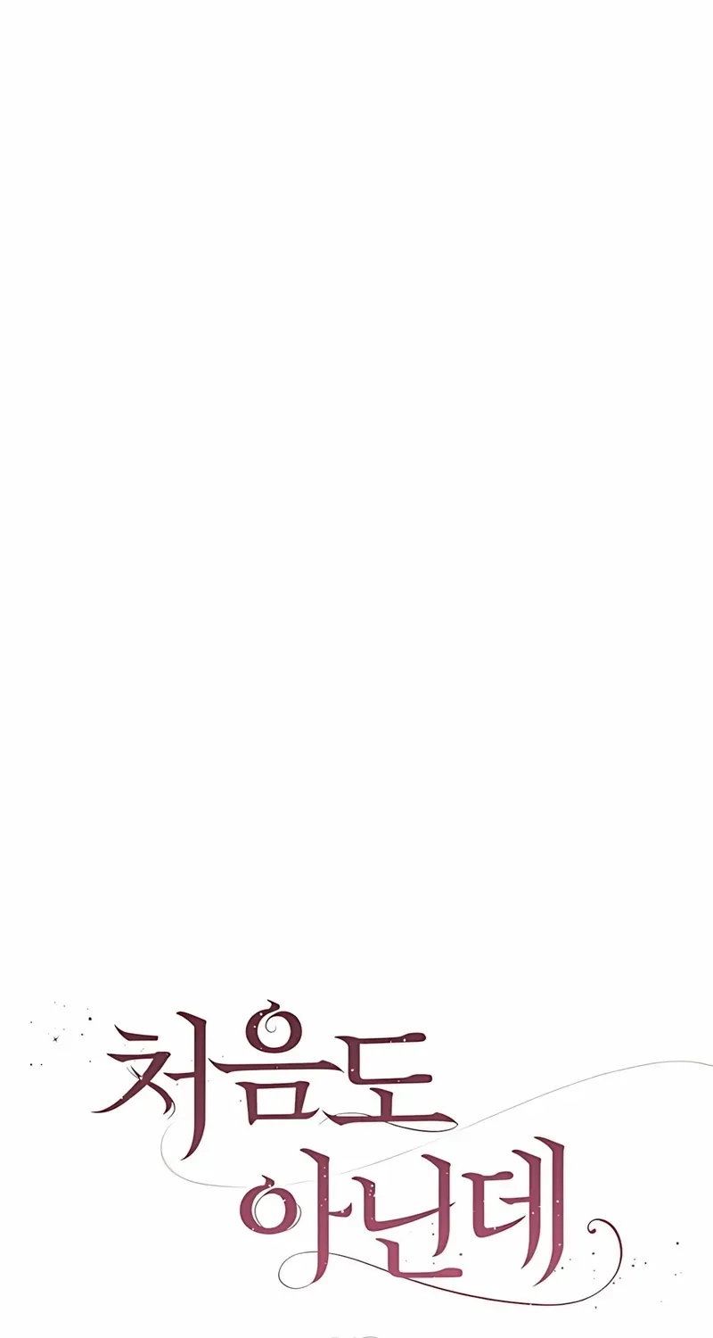 Not the First Time Chapter 25 page 27 - 