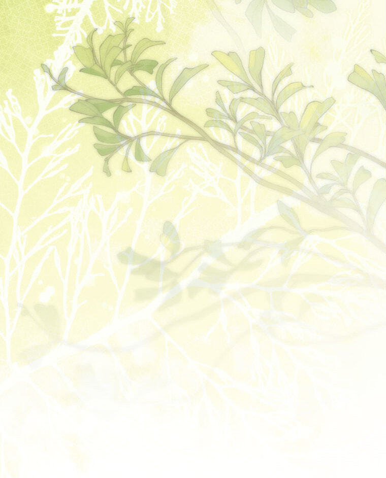 Not Your Monster-in-Law Chapter 59 page 134 - 