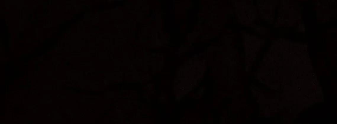 Nothing special in the neighborhood Chapter 11 page 74 - 