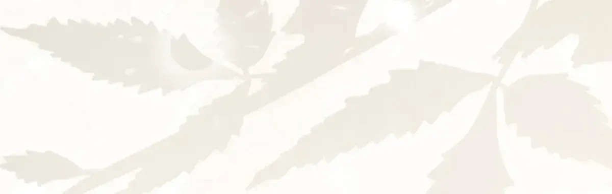 Nothing special in the neighborhood Chapter 2.2 page 17 - 