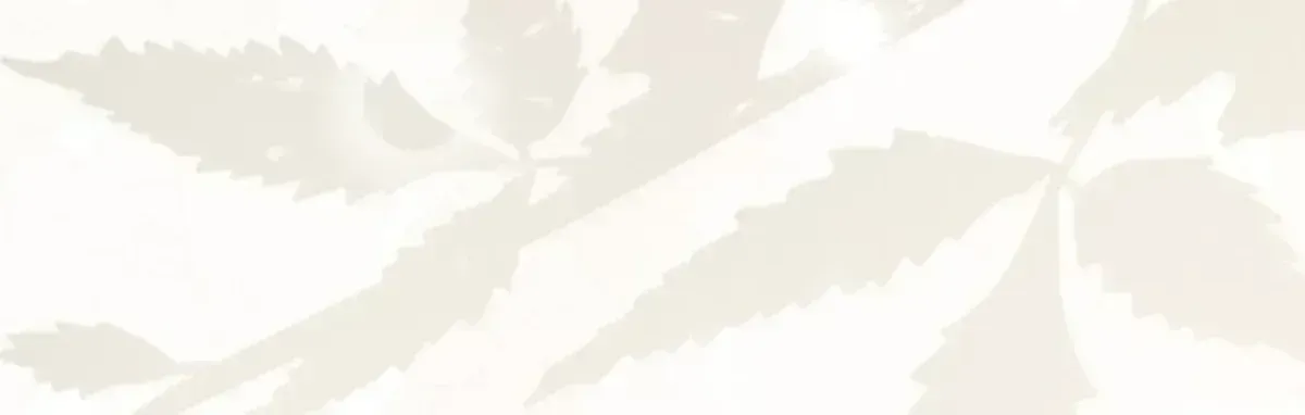 Nothing special in the neighborhood Chapter 2.3 page 17 - 