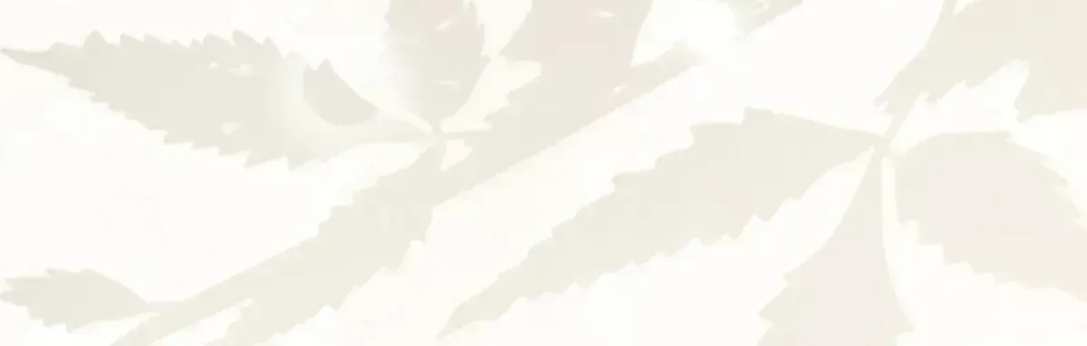 Nothing special in the neighborhood Chapter 2.5 page 17 - 