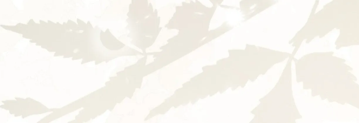 Nothing special in the neighborhood Chapter 2 page 19 - 