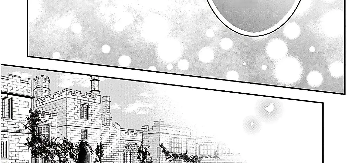 Now That My Engagement With The Prince Was Cancelled, I Will Stop Pretending To Be a Fool Chapter 2 page 40 - 