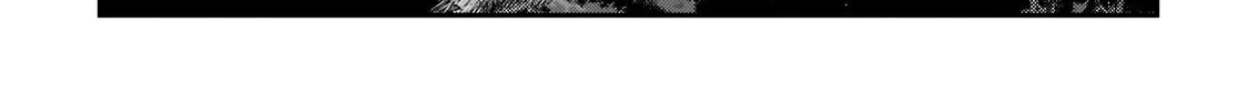 Nozomanu Fushi no Boukensha Chapter 46.2 page 12 - 