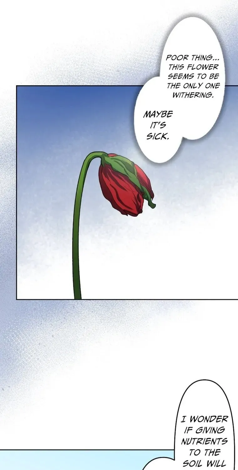 Odebu Akujo ni Tensei Shitara, Naze ka Last Boss Ouji-sama ni Shuuchaku sareteimasu Chapter 13 page 28 - 
