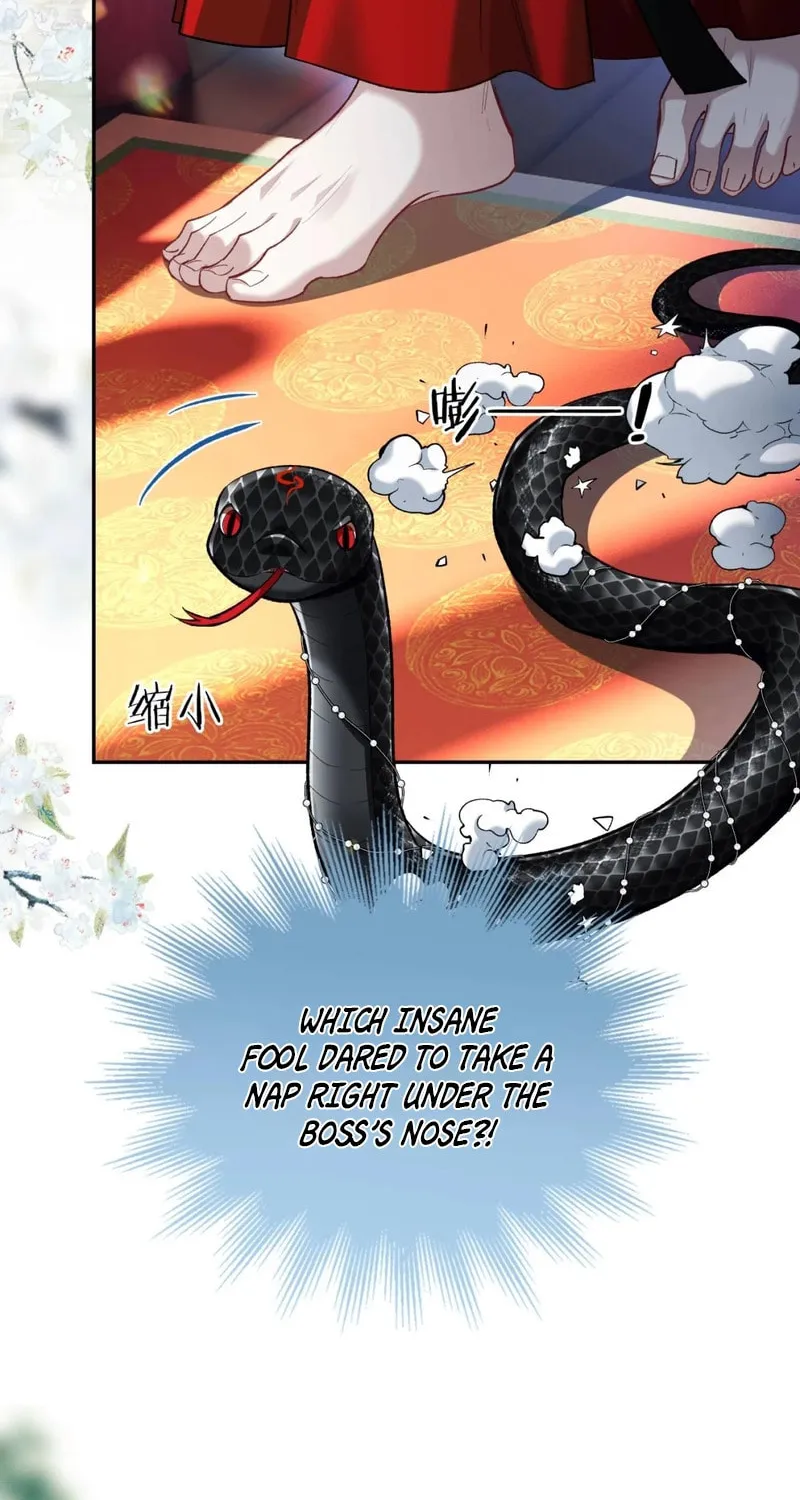 Offering Salted Fish To Master Chapter 3 page 41 - 