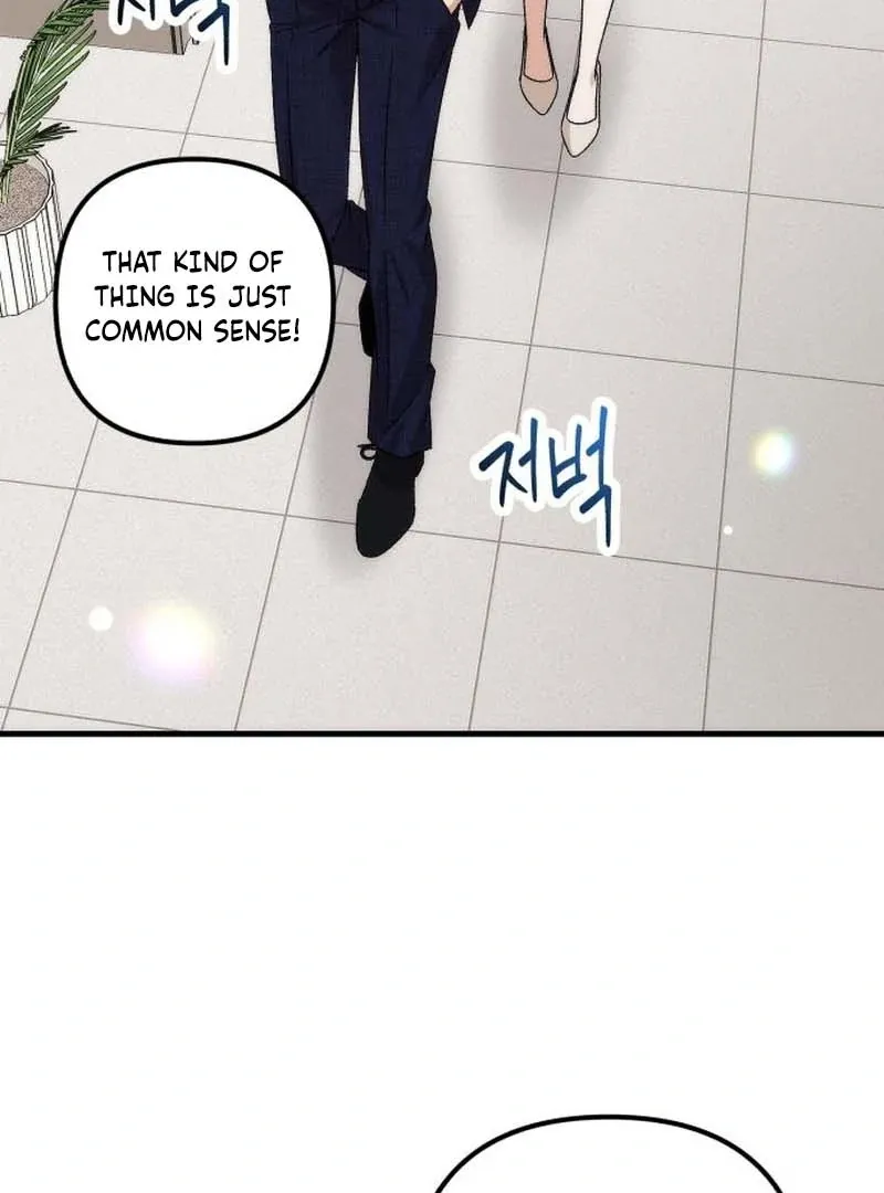 Office Contract Relationship Chapter 3 page 101 - 