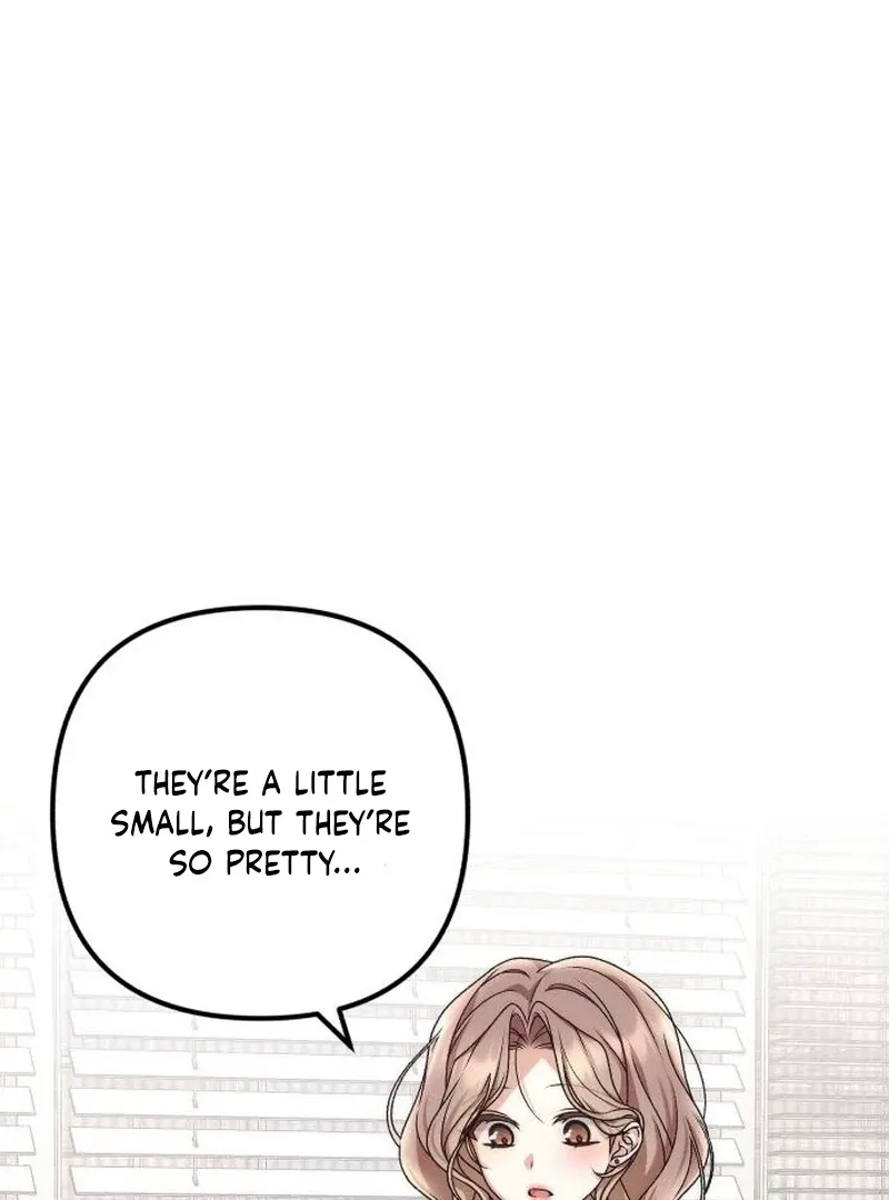 Office Contract Relationship Chapter 5 page 72 - 