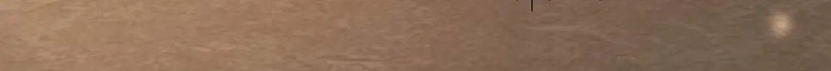Officer, You Can No Longer Hide Your Tail Chapter 9 page 81 - 