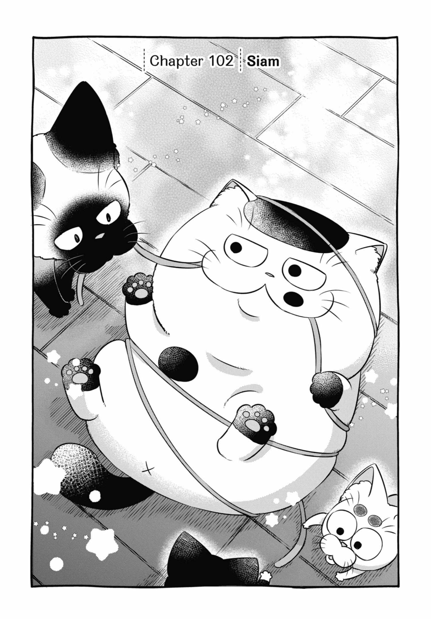 Ojisama to Neko Chapter 102 page 2 - 