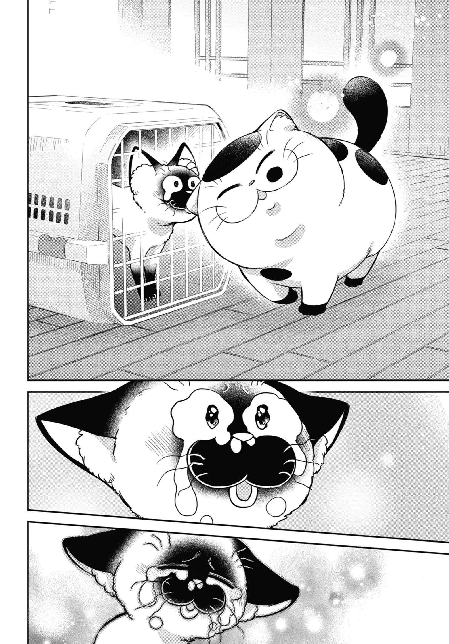 Ojisama to Neko Chapter 91 page 17 - 