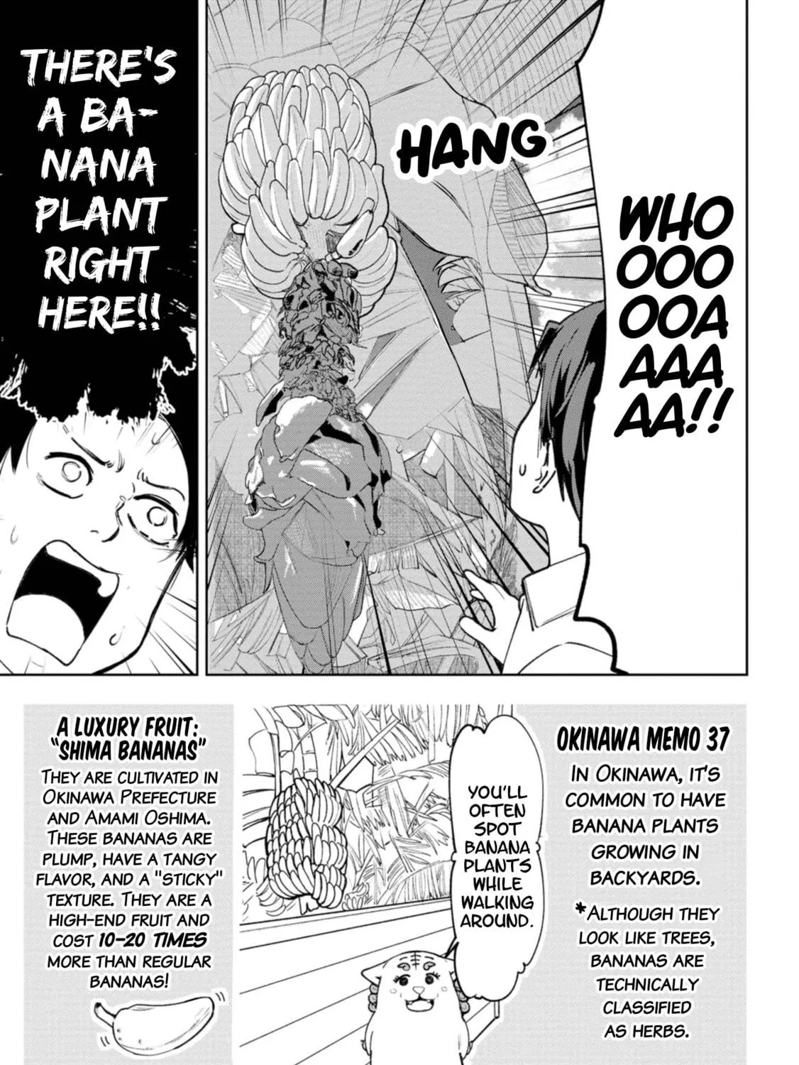 Okinawa de Suki ni Natta Ko ga Hougen Sugite Tsura Sugiru Chapter 23 page 11 - 
