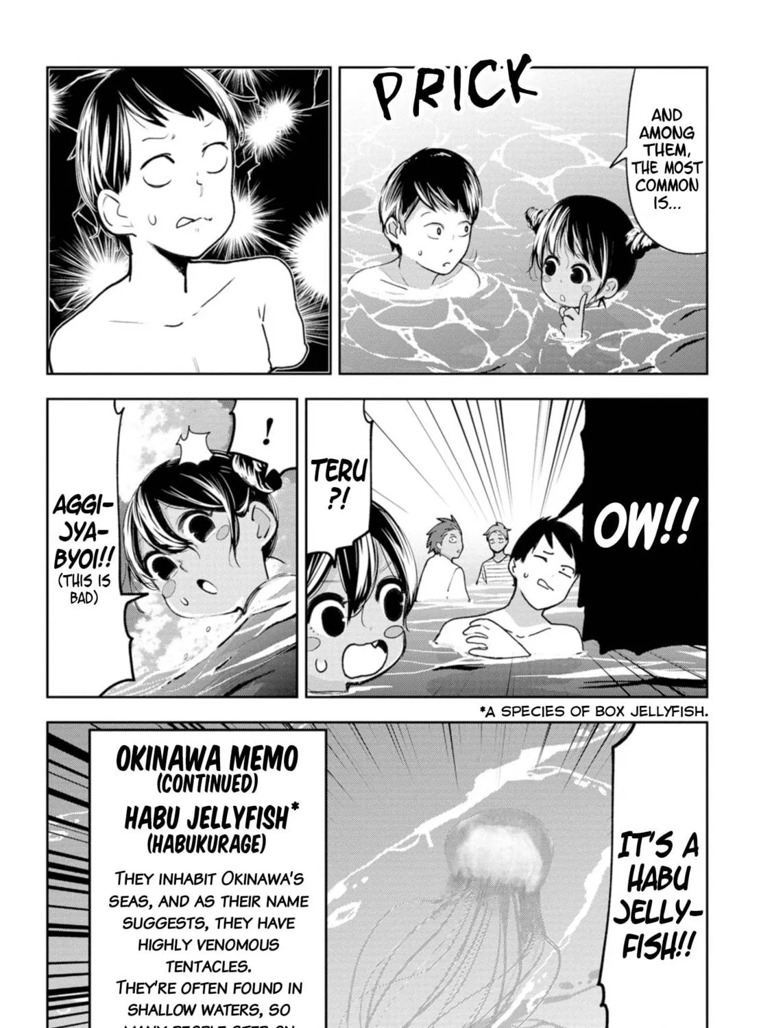 Okinawa de Suki ni Natta Ko ga Hougen Sugite Tsura Sugiru Chapter 24 page 17 - 