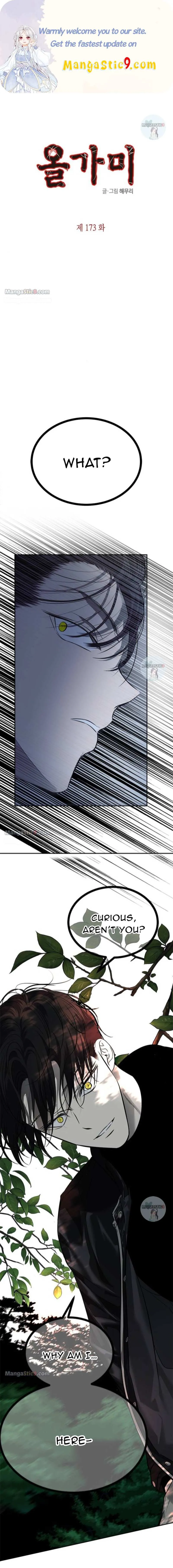 Olgami Chapter 173 page 1 - 