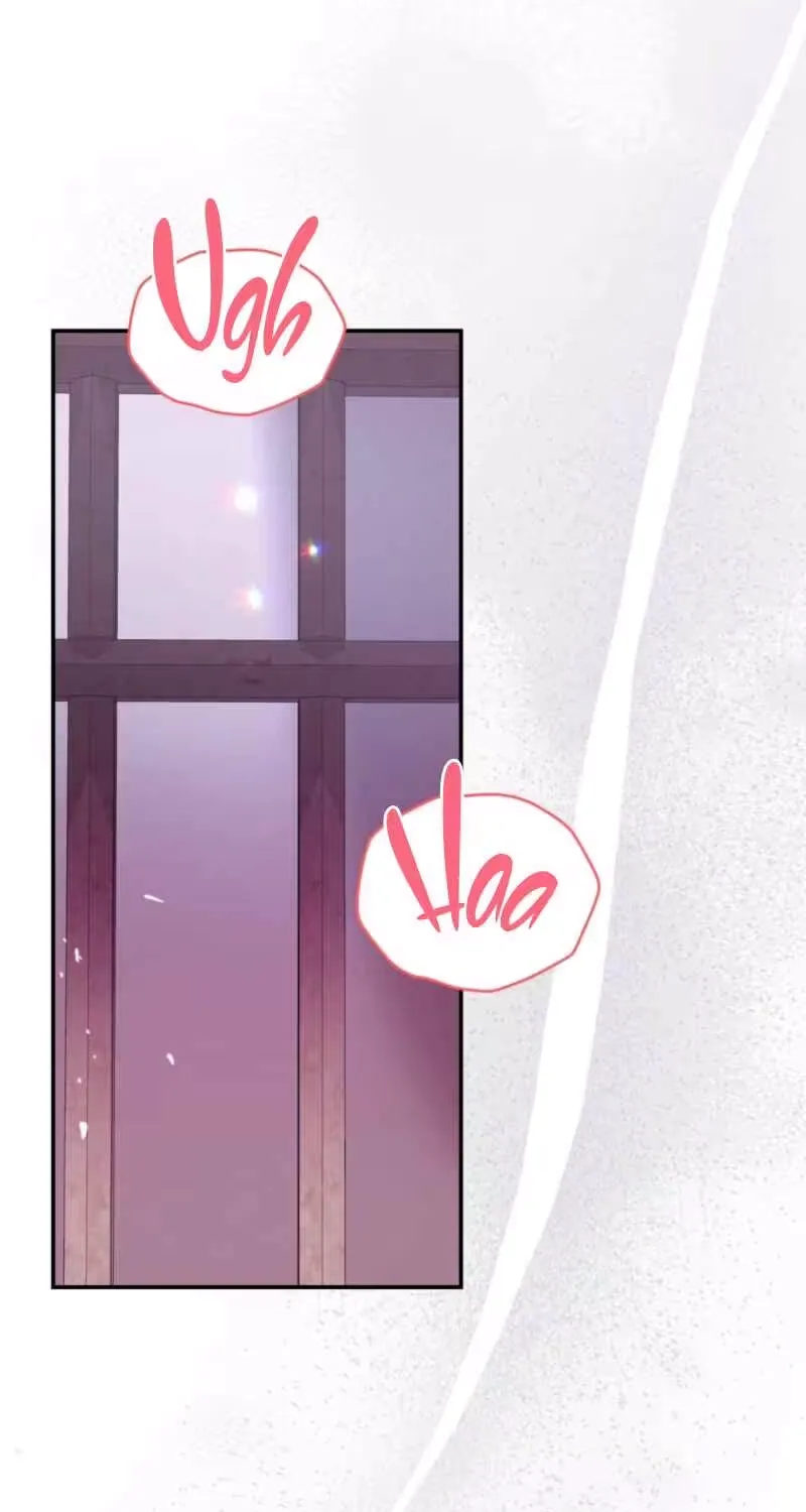 On My Birthday, Five Husbands Appeared Chapter 0 page 3 - 