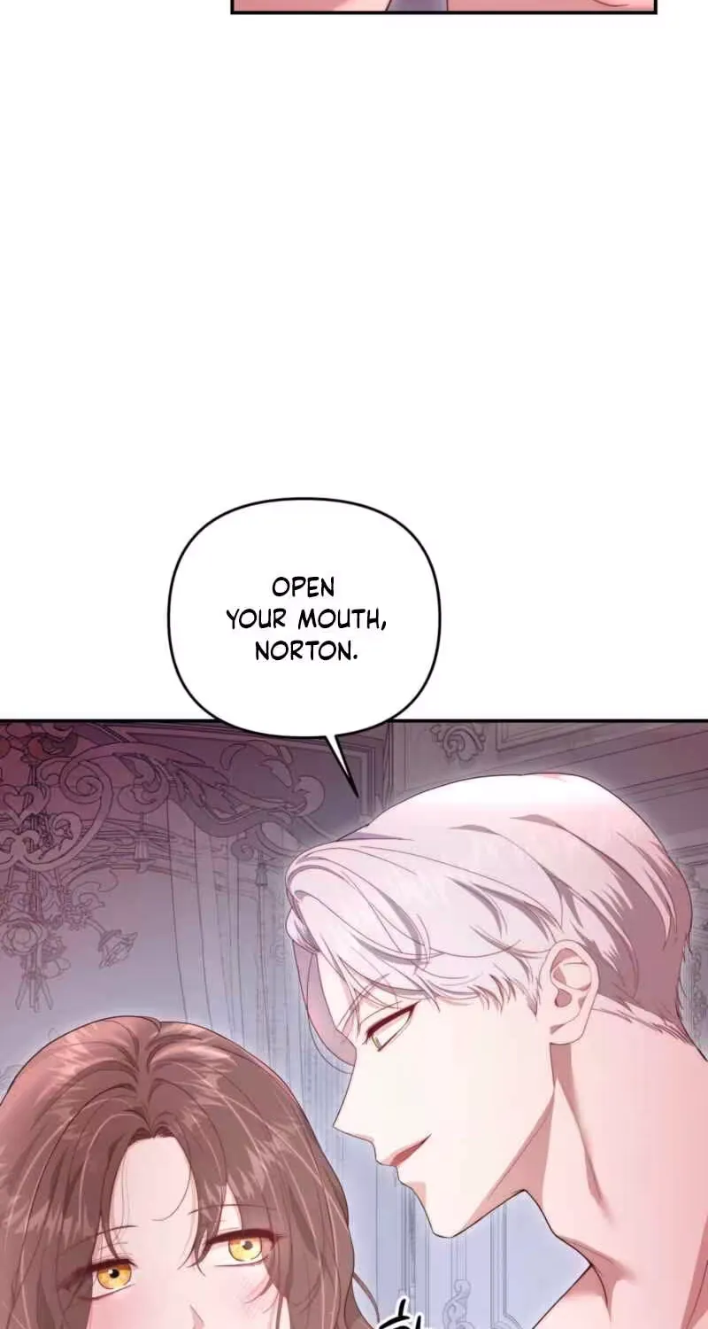 On My Birthday, Five Husbands Appeared Chapter 0 page 29 - 
