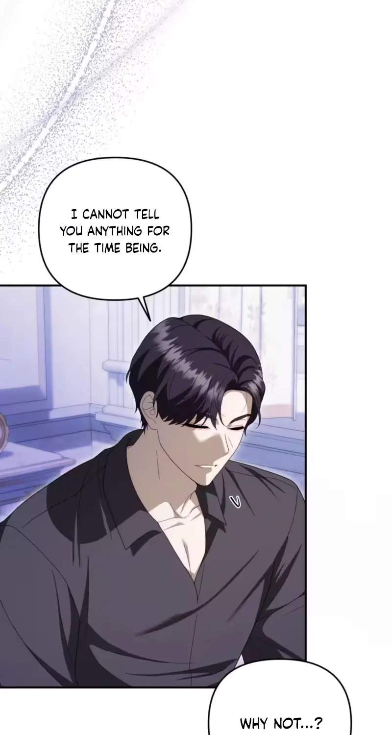On My Birthday, Five Husbands Appeared Chapter 11 page 13 - 