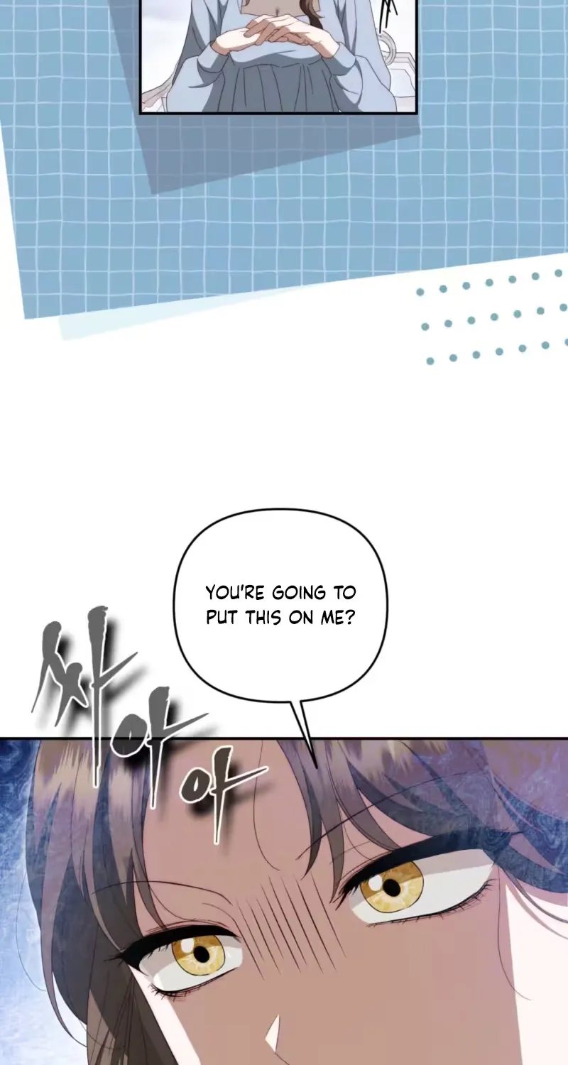 On My Birthday, Five Husbands Appeared Chapter 11 page 48 - 