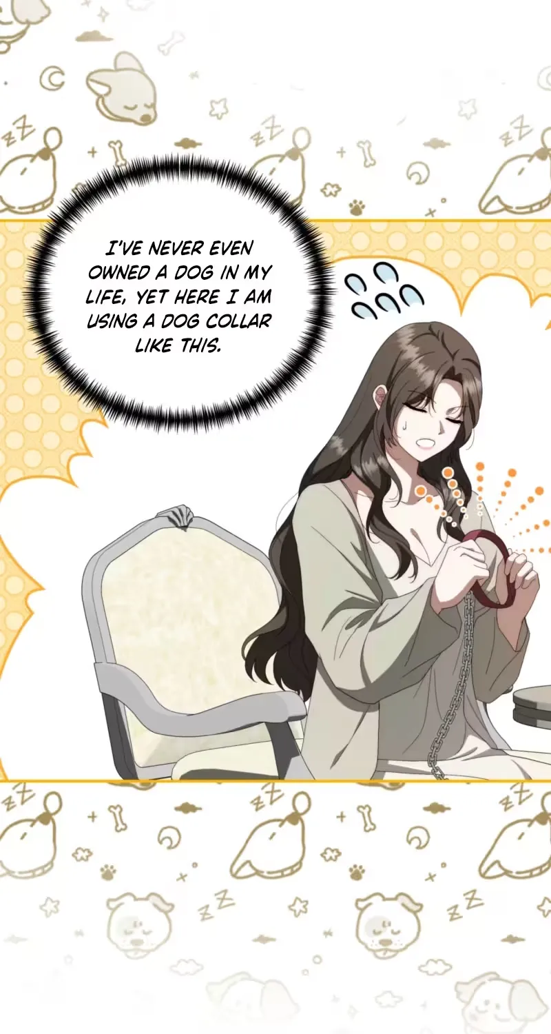 On My Birthday, Five Husbands Appeared Chapter 11 page 77 - 