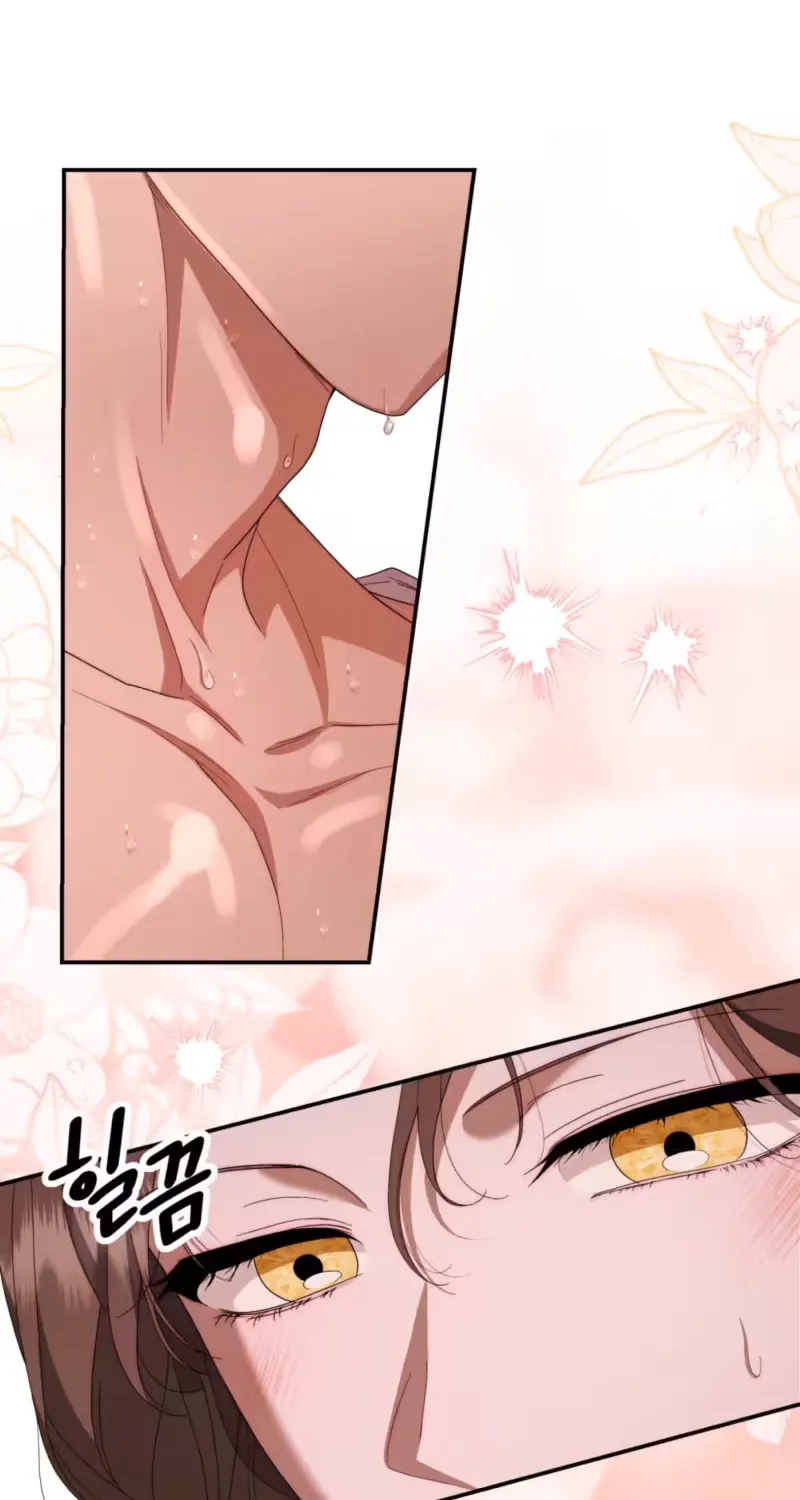 On My Birthday, Five Husbands Appeared Chapter 7 page 42 - 