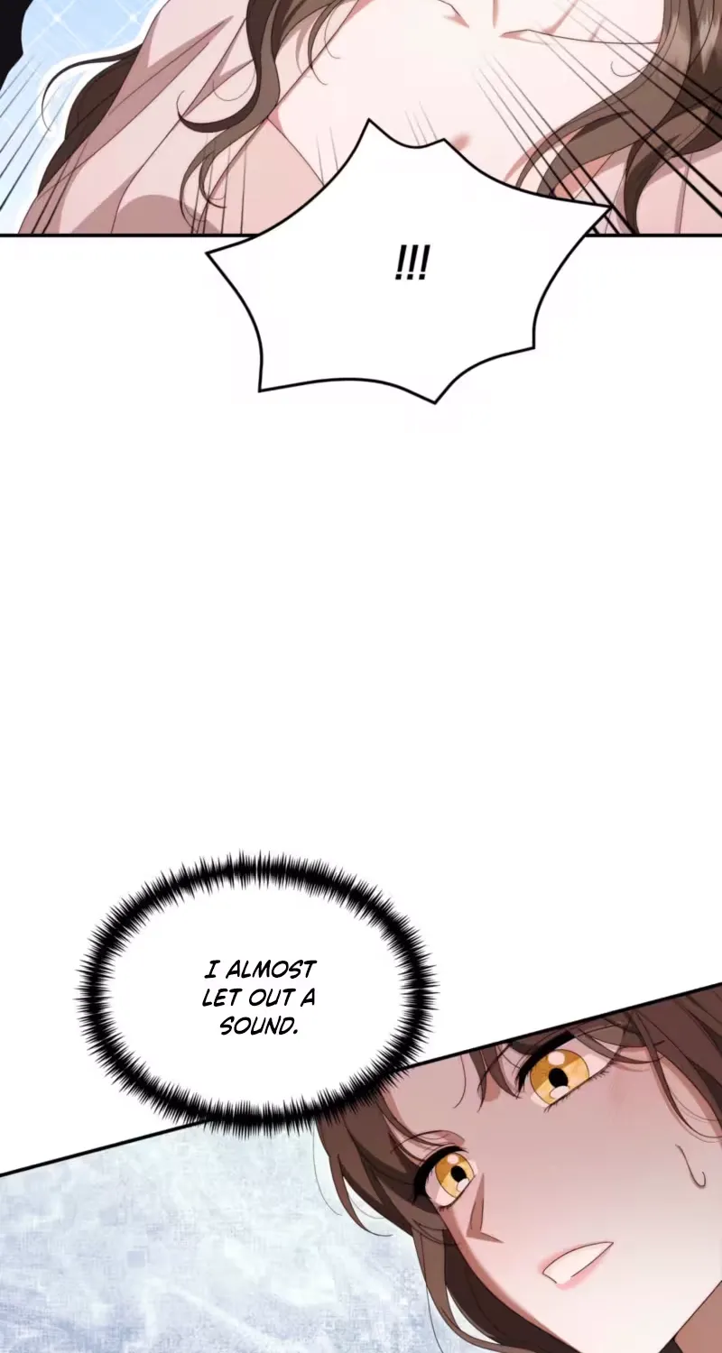 On My Birthday, Five Husbands Appeared Chapter 8 page 17 - 