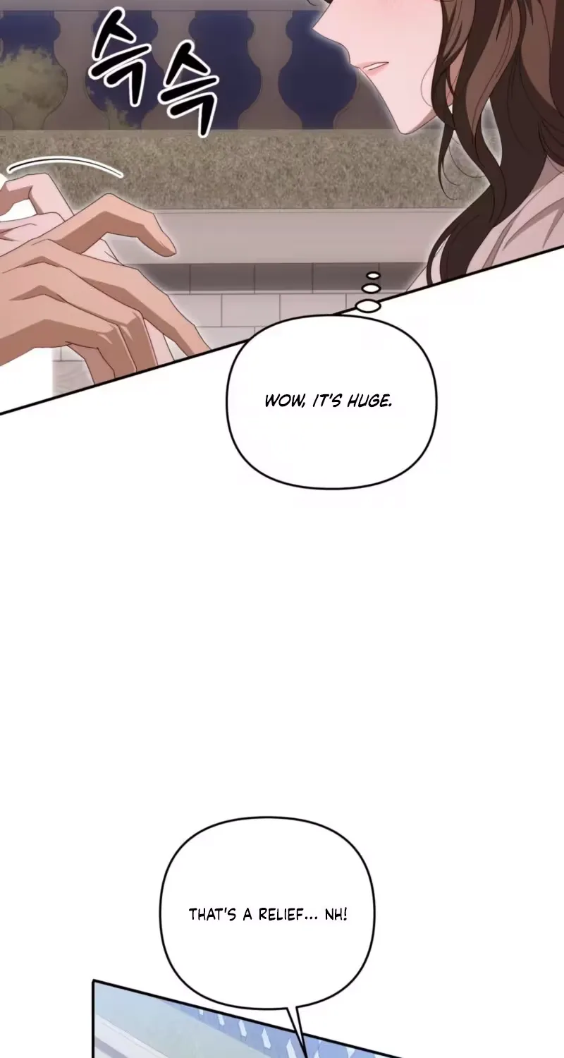 On My Birthday, Five Husbands Appeared Chapter 8 page 4 - 