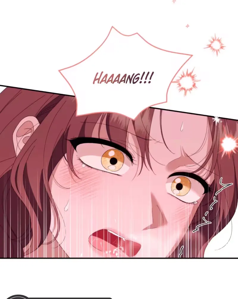 On My Birthday, Five Husbands Appeared Chapter 9 page 15 - 